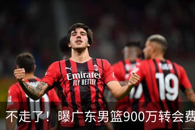 不走了！曝广东男篮900万转会费签下昔日状元内线，杜锋拒绝摆烂